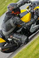 Advanced Group Yellow Bikes